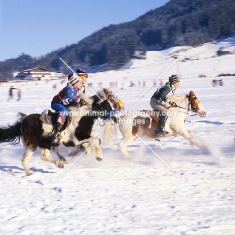 shetland pony racing with child riders on snow at kitzbuhel