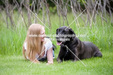 Great Dane lying by woman.