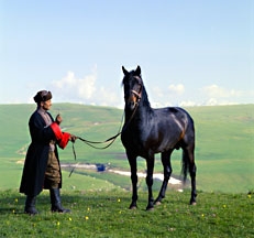 Kabardine stallion held by cossack in Caucasus mountains, Photo © Animal Photography, Sally Anne Thompson