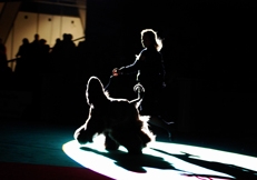 dog_show_©_Photo_Animal_Photography_Alice_Van_Kempen