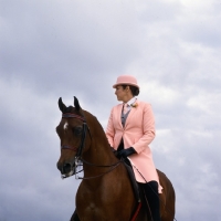 Picture of  Arab USA, Arabian English saddle class, lady rider