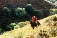 Picture of  horse and rider on hillside fox hunting on exmoor