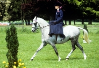 Picture of a lady riding side saddle