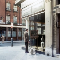 Picture of a man and his dog in a london  street