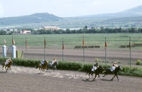 Picture of akhal tekes racing at piatigorsk race course