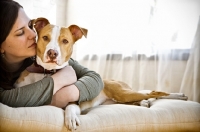 Picture of American Pit Bull cuddled by woman