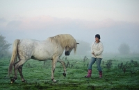 Picture of Andalusian in foggy field with woman trainer. 