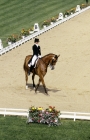 Picture of anne-grethe jensen riding marzog, denmark, dressage at goodwood
