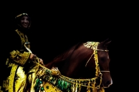 Picture of arab horse with rider in traditional costume at show
