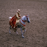 Picture of Arab USA rider in Arabian native costume high angle shot 