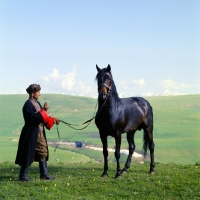 Picture of Arbich, Kabardine stallion held by cossack in Caucasus mountains