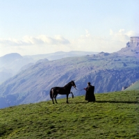 Picture of Arbich, Kabardine stallion held by cossack in Caucasus mountains