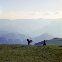 Picture of Arbich, Kabardine stallion runs free after photography, with cossack in Caucasus mountains