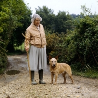 Picture of australian cattle dog with his owner