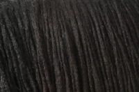 Picture of Australian Champion Puli coat