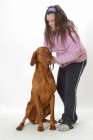 Picture of Australian Gr Champion Hungarian Vizsla with girl