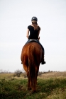 Picture of back view of girl riding Thoroughbred