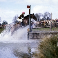 Picture of badminton 1972 jumping out of the lake