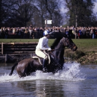Picture of badminton 1972, the lake