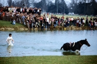 Picture of badminton 1980, rider retrieving  his horse at the lake during cross country