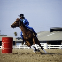 Picture of barrel racing in florida usa