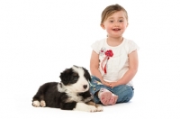Picture of bearded collie dog and girl isolated on a white background