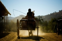 Picture of Belgian Draft horse pulling a cart.