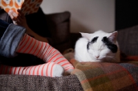 Picture of black and white cat sleeping next to girl reading and in stripey socks