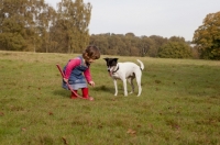 Picture of black and white crossbred Staffie dog in park and little girl playing together with ball