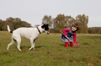 Picture of black and white crossbred Staffie dog in park with tongue out and little girl playing with ball