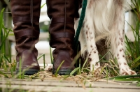 Picture of boots and legs