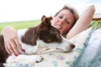 Picture of Border Collie with owner in hammock