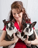 Picture of Boston Terrier being held by woman