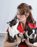 Picture of Boston Terrier licking a woman