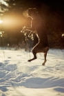 Picture of Boxer jumping in snow