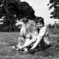 Picture of boy holding rough collie