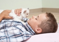 Picture of boy lying down with Ragdoll