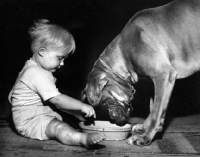 Picture of boy pointing at dog food