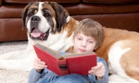 Picture of boy reading a book with Saint Bernard