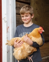 Picture of boy with Buff Orpington chicken