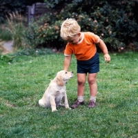 Picture of boy with labrador puppy