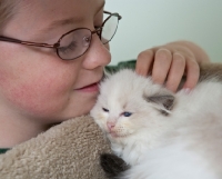 Picture of boy with Ragdoll kitten
