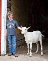 Picture of Boy with Saanen goat