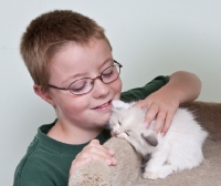 Picture of boy with sleeping Ragdoll kitten