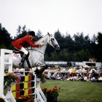 Picture of british team member, three day event show jumping
luhmuhlen 1979