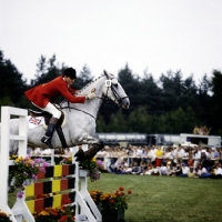 Picture of british team member, three day event show jumping
luhmuhlen 1979