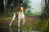 Picture of Brittany near waterside