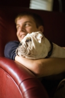Picture of Bulldog on sofa with man