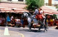 Picture of camargue pony and riders at saintes marie de la mer for parade