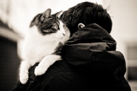Picture of Cat being carried by man